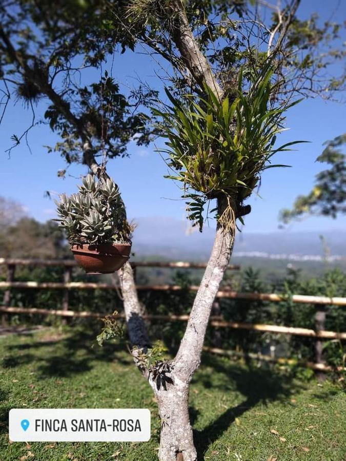 Teocelo Finca Santa Rosa מראה חיצוני תמונה