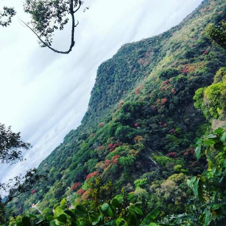 Teocelo Finca Santa Rosa מראה חיצוני תמונה